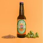 Pink Sun - Green Ray - West Coast IPA