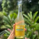Yoleau - Spritz Fleur de Sureau 25cl