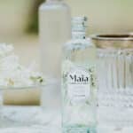 Maïa – Fleur de sureau