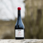 DIVIN - Pinot Noir Vigneron