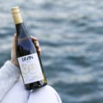 DIVIN - Chenin Blanc 0.0%