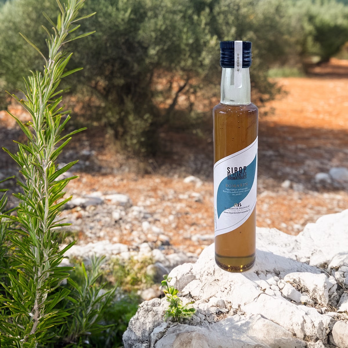 Le Jardin de Mazaalaï - Sirop Artisanal de Romarin Bio – Image 1