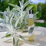 Le Jardin de Mazaalaï - Sirop Artisanal de Sauge Bio