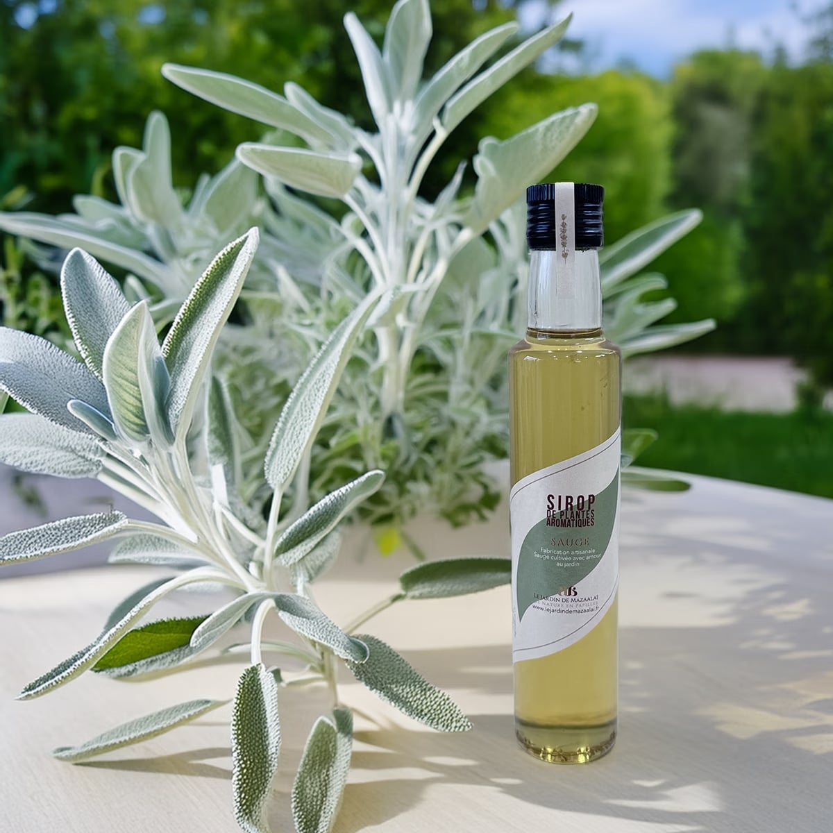 Le Jardin de Mazaalaï - Sirop Artisanal de Sauge Bio – Image 1